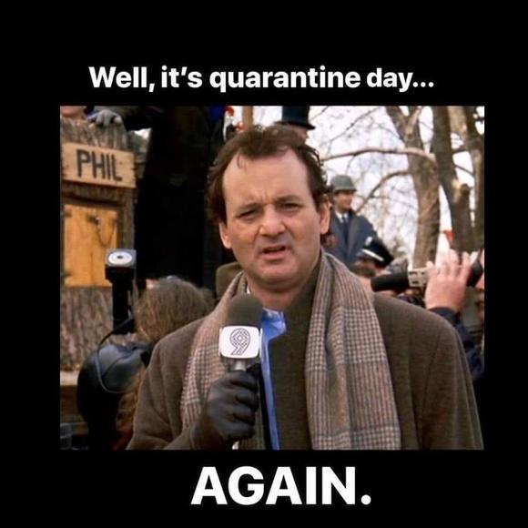 Meet your Posher, Robin - Picture 1 of 1